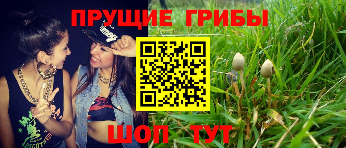 Галлюциногенные грибы Magic Shrooms  Вход с VPN  Псилоцибиновые грибы мухоморы  Нижний Тагил 
